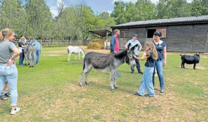 Bei der „Auszeit vom Krebs“ konnten Kinder Esel streicheln. FOTO: JANA RUPP